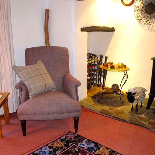 ww/assets/images/has/customer images/2 Haslemere Chair in Barra Finn